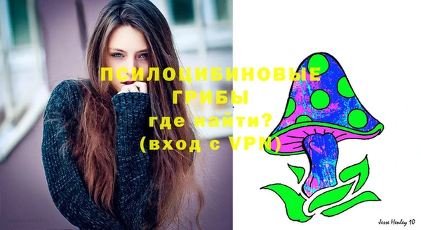 каннабис Аркадак