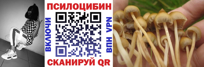 Псилоцибиновые грибы мицелий Суоярви